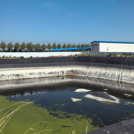 沼气池 HDPE 土工膜：选型、寿命、价格、施工与检验全解析